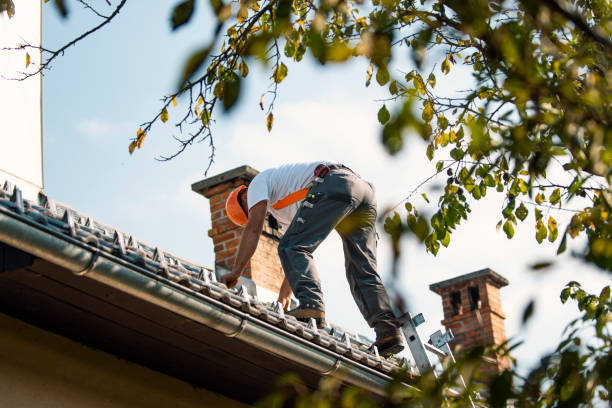Best Storm Damage Roof Repair  in Valley View, OH